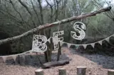 BFS Letters on a tree branch